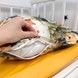 Постельное белье в кровать 160х80 см с пододеяльником 140х110 см Oh My Kids &laquo;Зверята&raquo; желтый