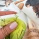 Детская простыня на резинке в кровать 190х90 см для девочки OMK "Лабубу"